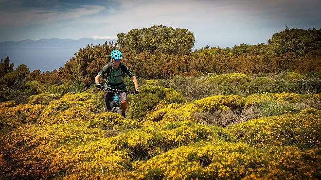 Blumen Meer mit Korika Blick